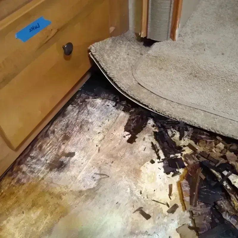 Best Wood Floor Water Damage Service in Lafayette, CO